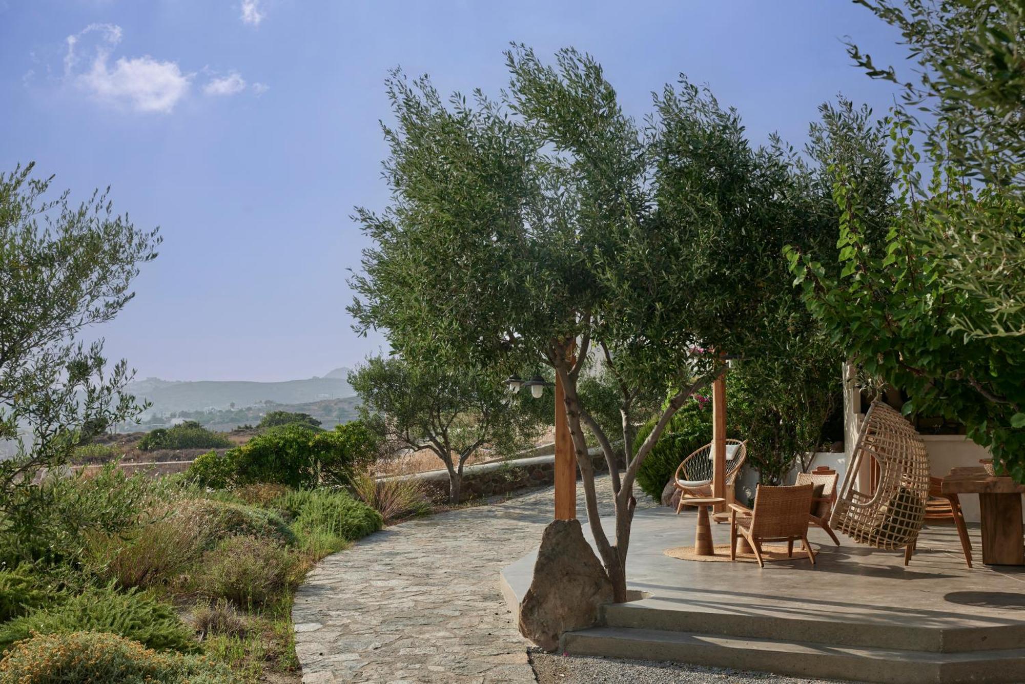 Iliana Olive Branch Adamantas (Milos) Exterior foto
