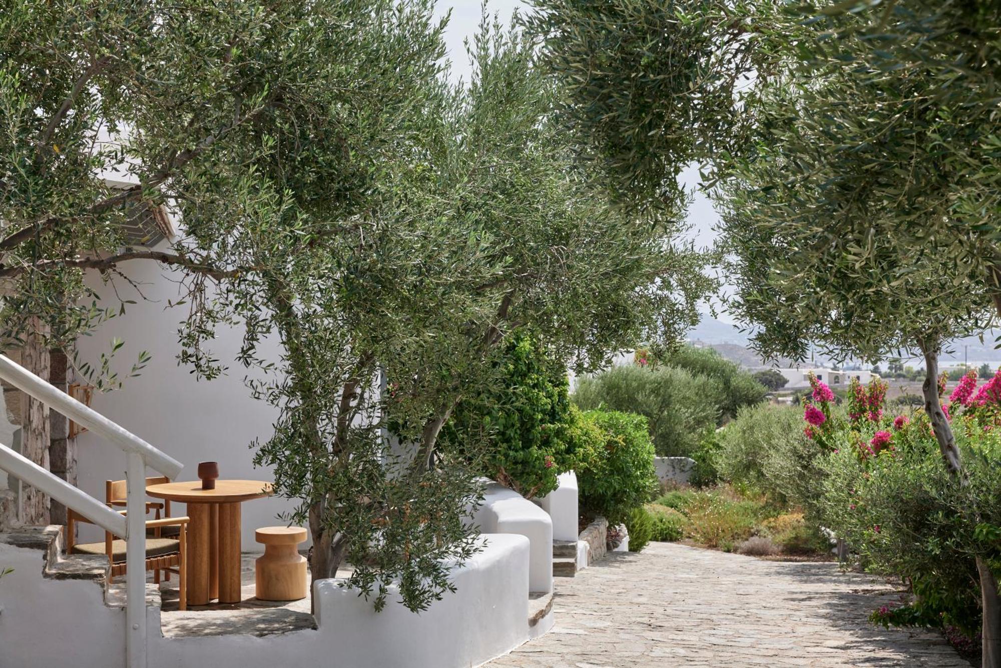 Iliana Olive Branch Adamantas (Milos) Exterior foto
