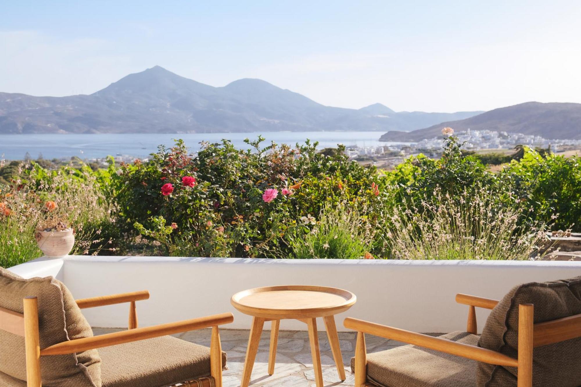 Iliana Olive Branch Adamantas (Milos) Exterior foto