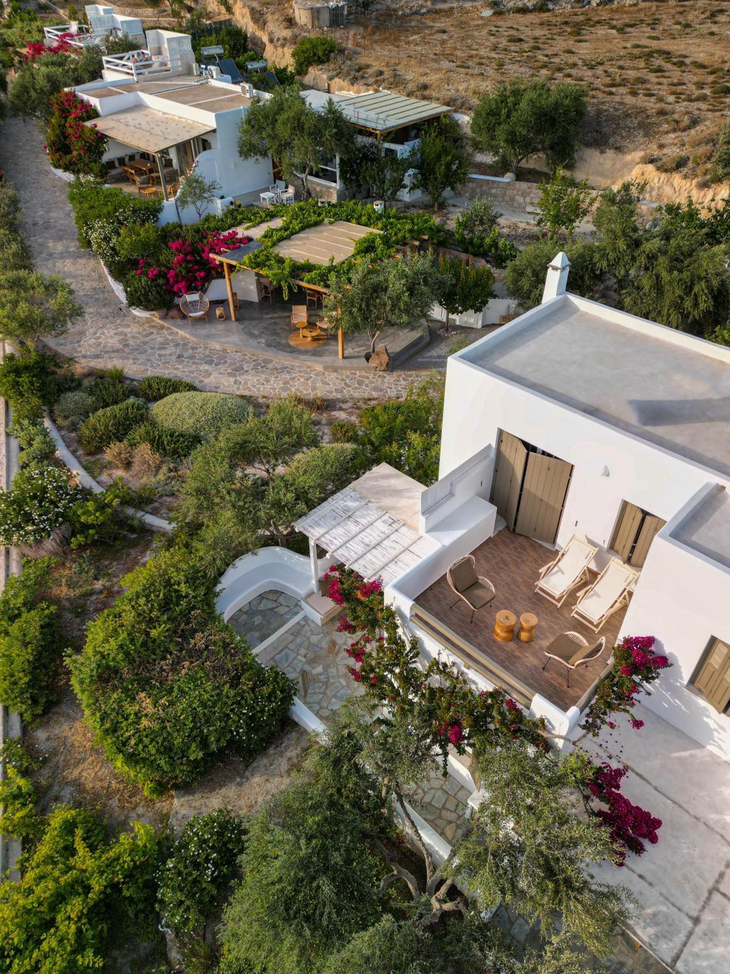 Iliana Olive Branch Adamantas (Milos) Exterior foto